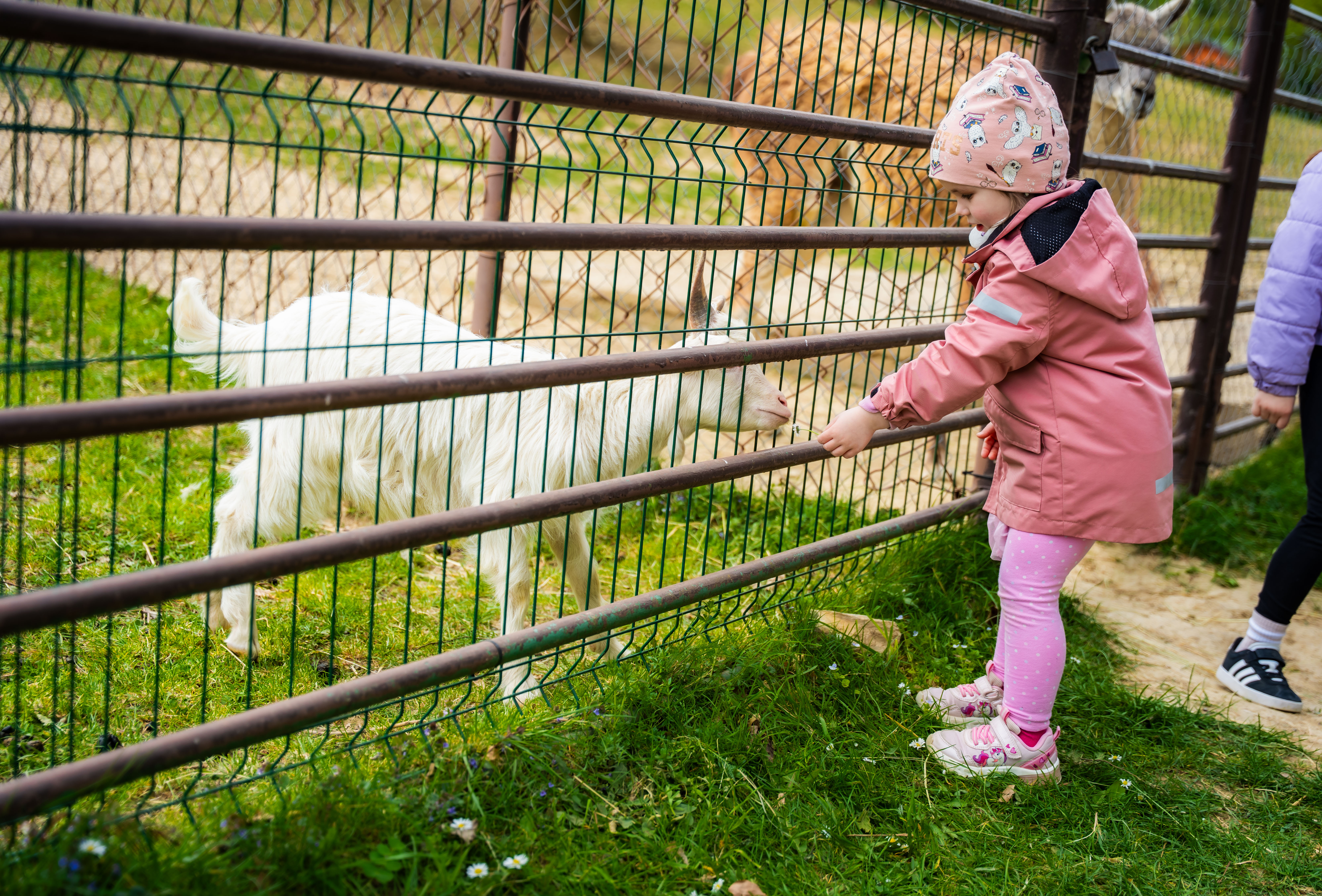 Slavnostne odomykanie vrany ZOO Kosice-1-62